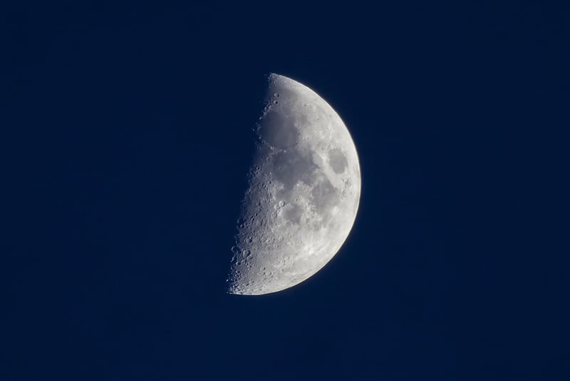 Moon Phase Planting Calendar